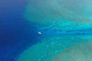 太阳报谈球员逃离沙特原因：酷热天气、水平低、伴侣无法单独露面